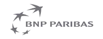 homepage BNP.png